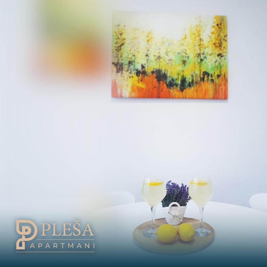 Apartment Plesa Bihac Bagian luar foto